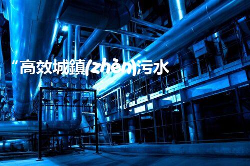 “高效城鎮(zhèn)污水處理流程，守護碧水藍天新篇章”